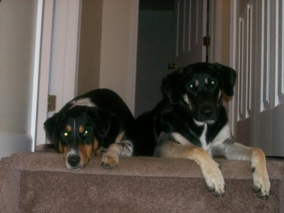 babies 004.jpg