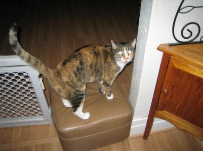 Img_0203.jpg