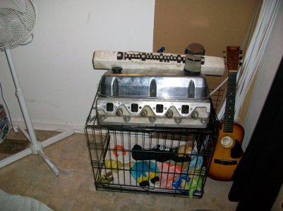 100_0076.jpg