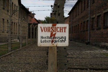 auschwitz2.jpg