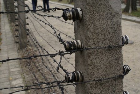 auschwitz.jpg