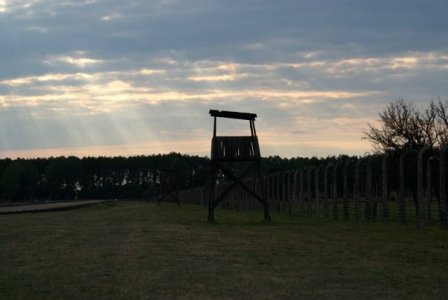 birkenau dusk.jpg