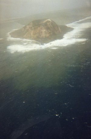 img018.jpg