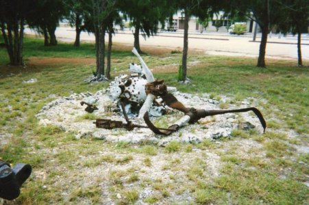 img006.jpg