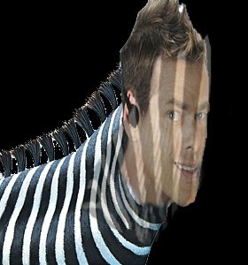 zebra shamwow.jpg
