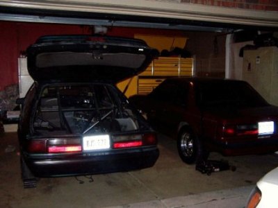Mustang 057 - Copy.JPG