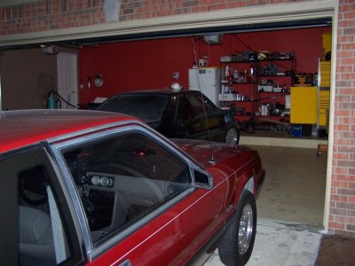 Mustang 056.jpg