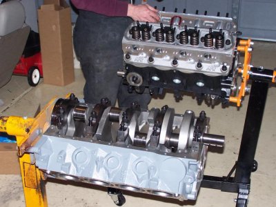 Mustang 026.jpg