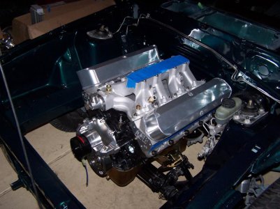 Mustang 028.jpg
