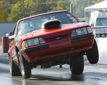 stang4.jpg