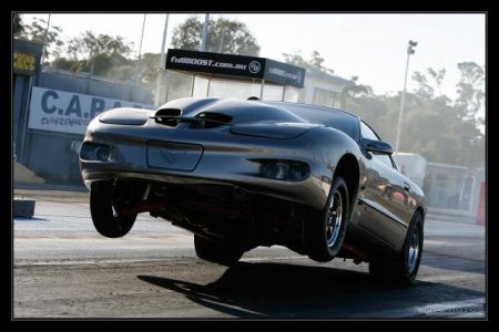 ls1nats67.jpg