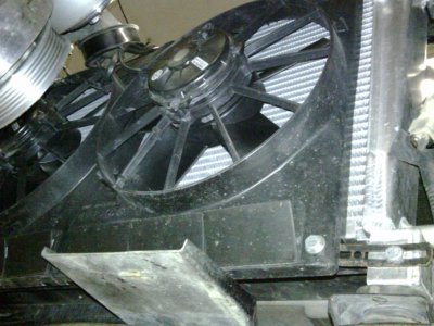 coupe 010.jpg