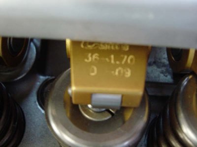 impfund 048.jpg