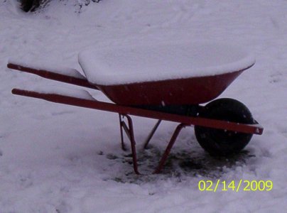 snow again 004.JPG