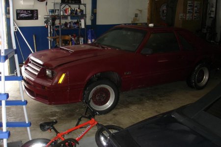 82 gt 001.jpg