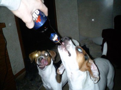 Feb 2009 033.jpg