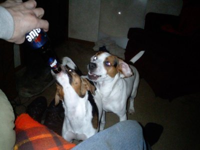 Feb 2009 034.jpg