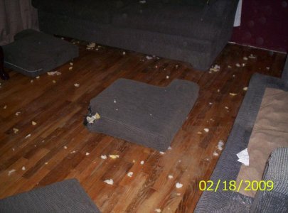 baddawgs! 005.jpg