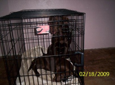 baddawgs! 019.jpg