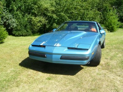 firebird 003.jpg