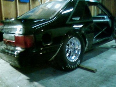 roller-2.jpg