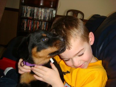 puppy 3.jpg