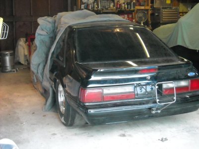 stang rolling 004.jpg
