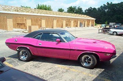 Pink challenger.jpg