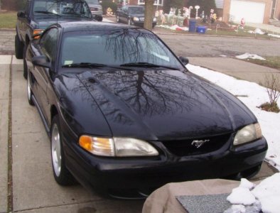 mustang2[1].jpg