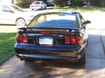 mustang4[1].jpg