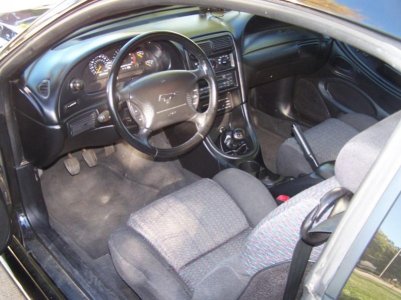 mustang5[1].jpg