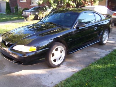 mustang7[1].jpg