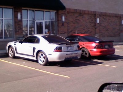 two stangs.jpg