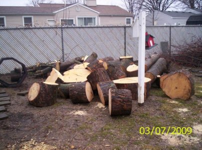 firewood 001.jpg