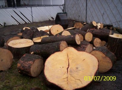 firewood 002.jpg