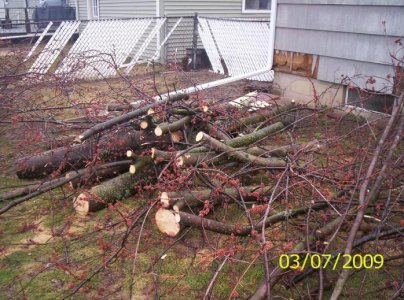 firewood 003.jpg