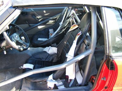 mustang 002.jpg