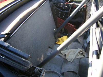 mustang 003.jpg