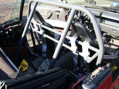 mustang 004.jpg