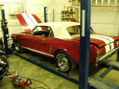 mustang 007.jpg