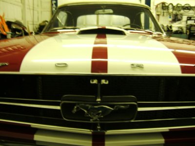 mustang 008.jpg