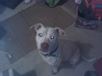 mikes cell pics 098.jpg