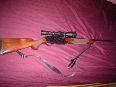 gun sale 003.jpg