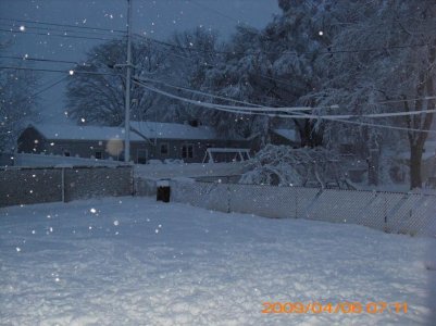 spring snow 003.jpg