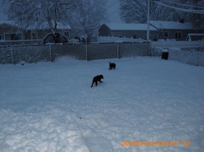 spring snow 006.jpg