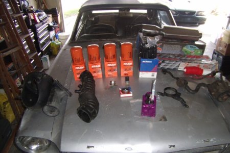 GEDC0036.JPG