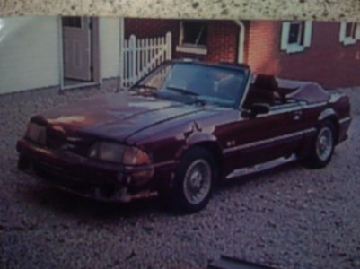 img135.jpg