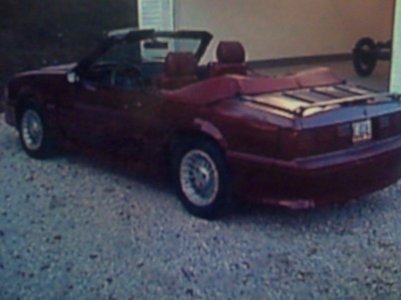 img124.jpg