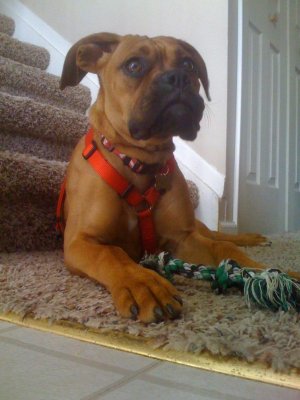 iPhone pics 229.jpg