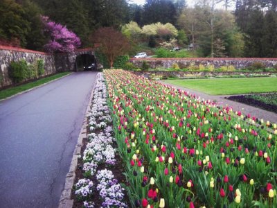 Biltmore house 027.jpg